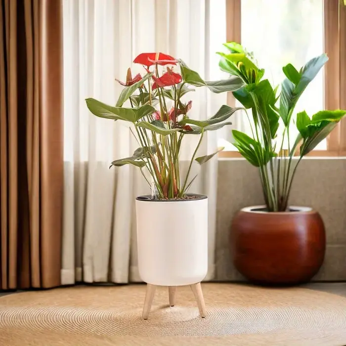 Jardinière auto-arrosante minimaliste nordique, pieds en bois blanc, pot de plante multifonctionnel pour balcon et bureau