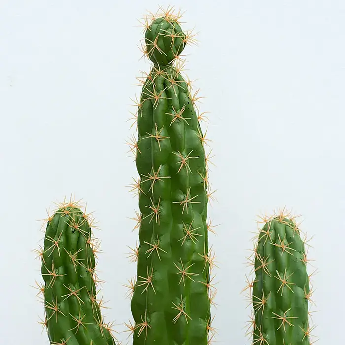 Plante succulente verte artificielle au toucher réaliste avec pot