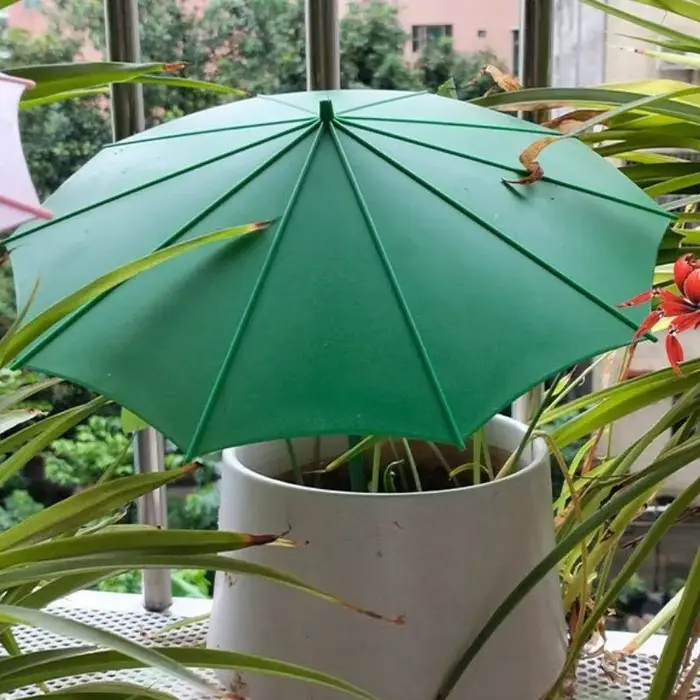 Parasol pour plantes d'extérieur
