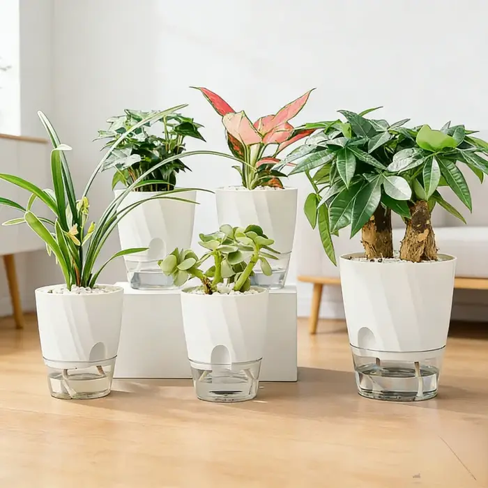 Pot de fleur de radis vert auto-arrosage en plastique Transparent épaissi à usage domestique