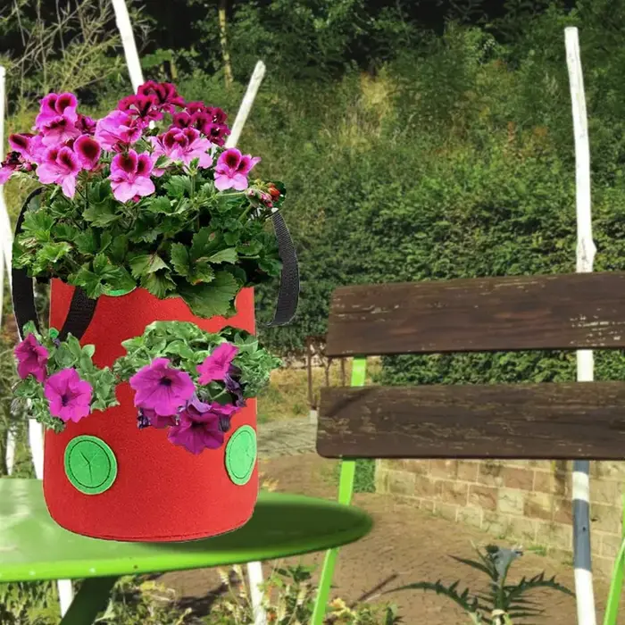 Sac de plantation suspendu pour fraises et tomates