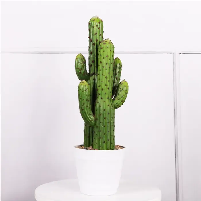Cactus Plante Succulente Artificielle