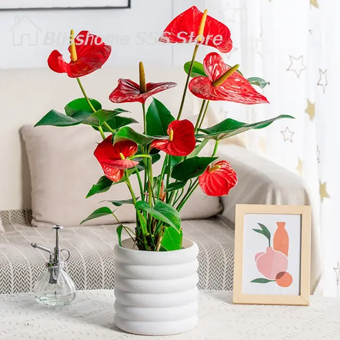 【S】Pots de fleurs d'intérieur polyvalents pour plantes et légumes
