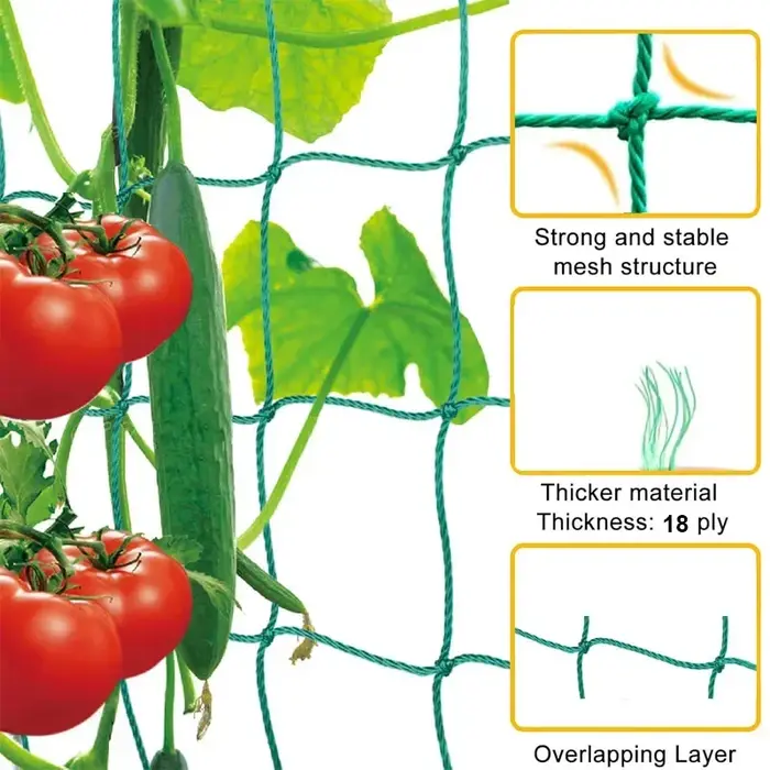 Maille de cadre pour plantes grimpantes à 18 actions