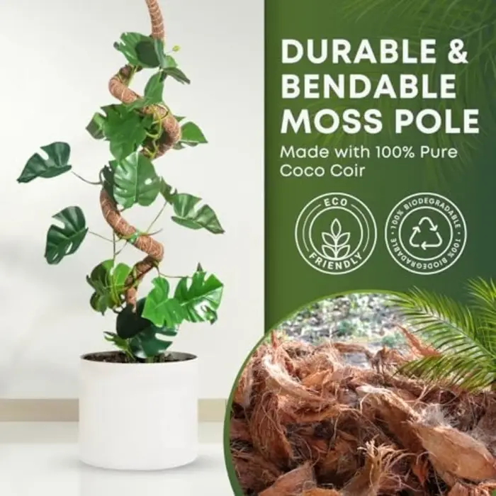Poteau en mousse flexible pour plantes, en fibre de coco, support pour Monstera, fait main, accessoires de jardinage DIY pour plantes grimpantes