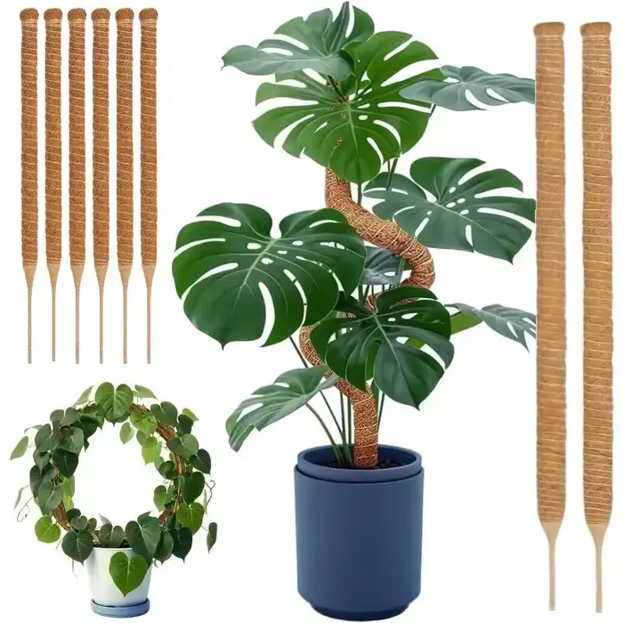 Support de grimpement pliable pour plantes