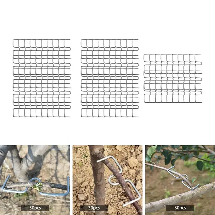 Extracteur de branches d'arbre fruitier