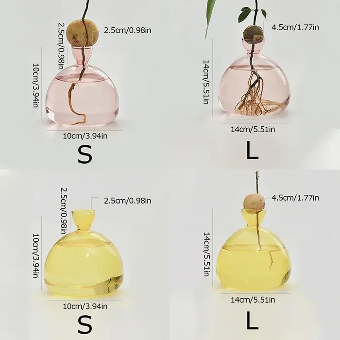Vase hydroponique en verre Transparent