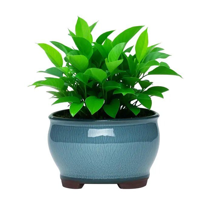 Pots de jardinières de jardin en céramique