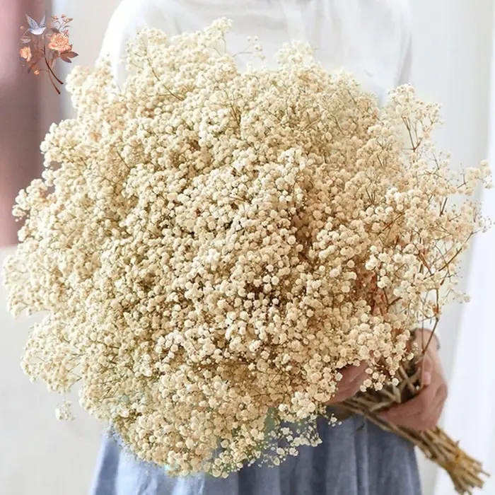 Bouquet de fleurs séchées pour bébé