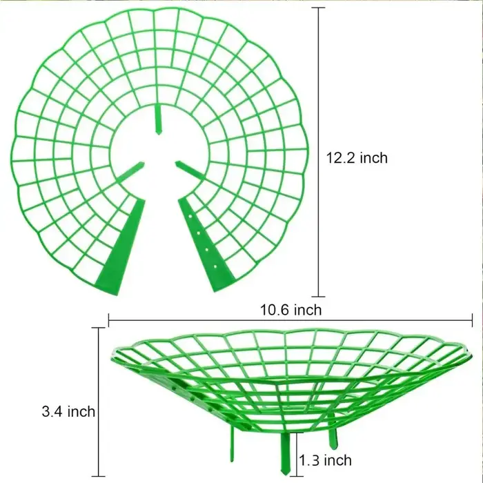 20/40PCS Supports de plantation pour fraises