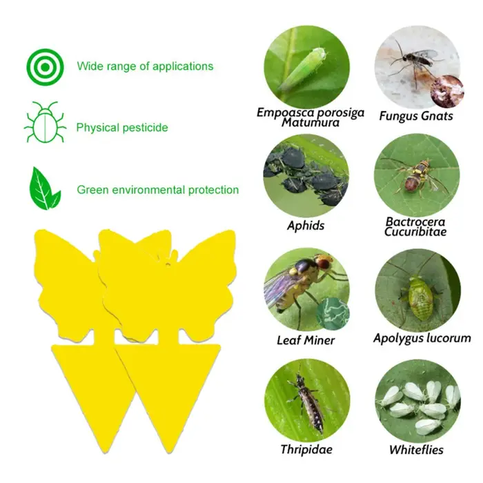 Pièges à insectes collants jaunes double face (10-30 pièces) pour plantes d'intérieur