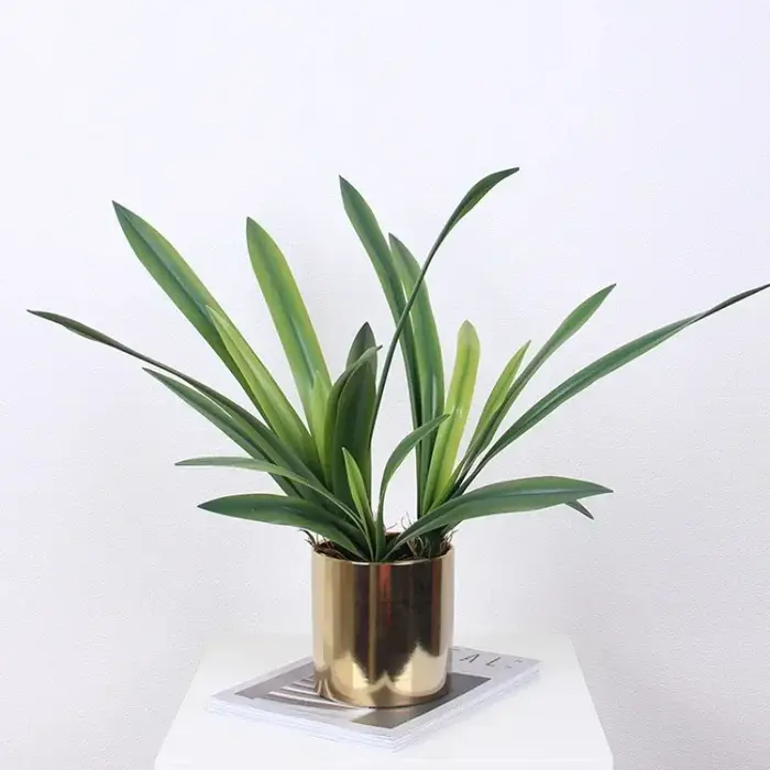 Feuilles de clivia artificielles décoratives d'étude