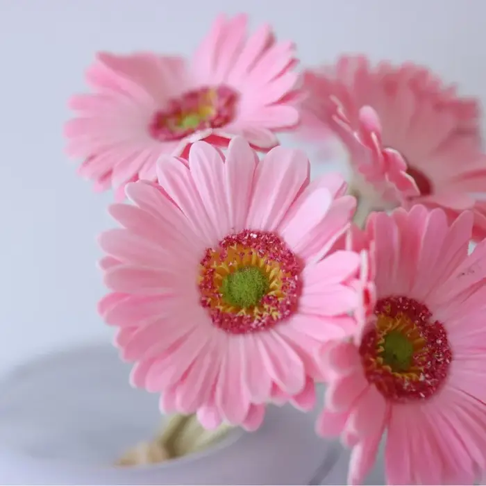 Lot de 2 Gerberas artificielles sans feuilles en PU bleu