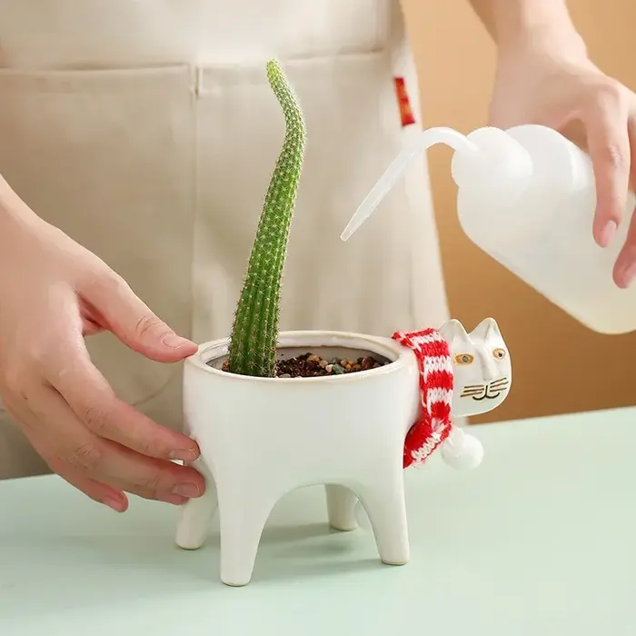 Pot de fleurs en céramique pour chat, Vase d'horticulture, Cactus, plante succulente, Arrangement de fleurs en pot, décoration de la maison