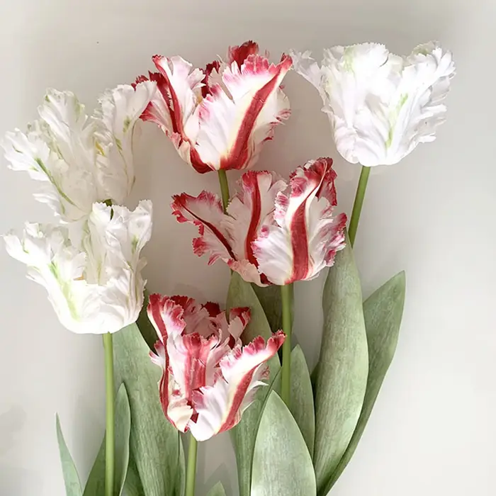 Branche de tulipe perroquet 3D de luxe