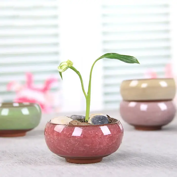 Pot de fleur en céramique