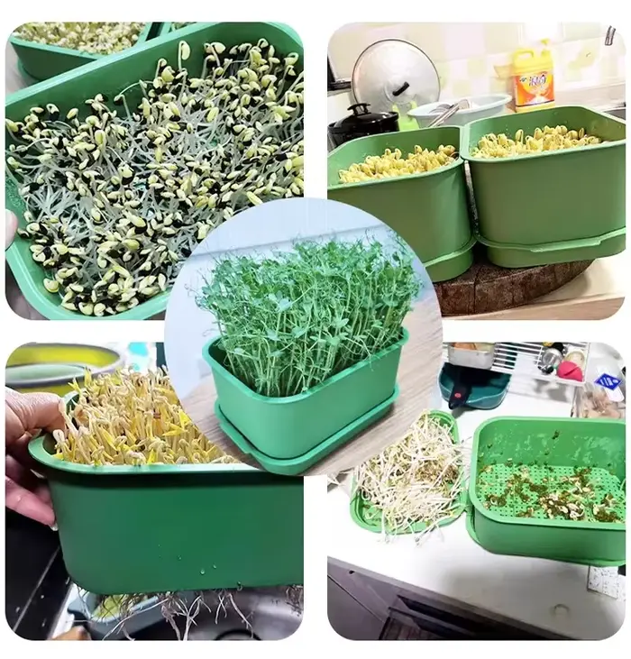Pot de plantation en plastique pour germination domestique