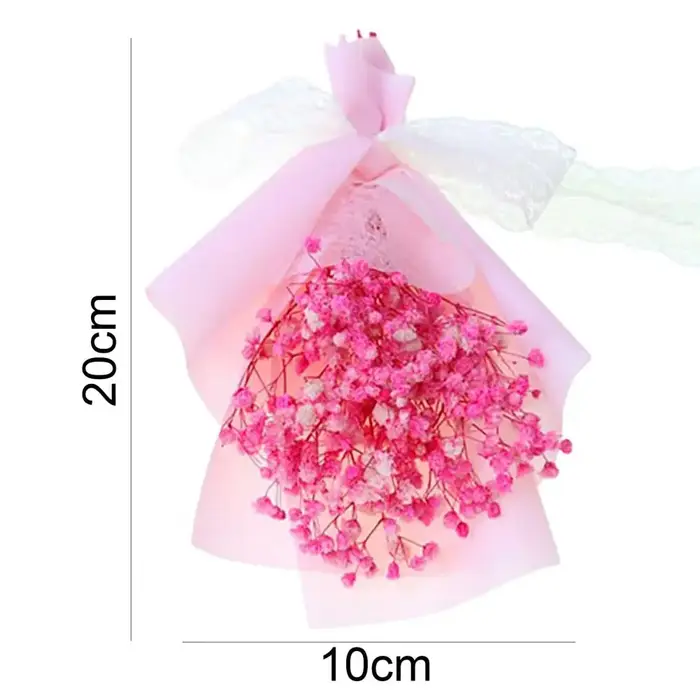Fleurs séchées de gypsophile pour cadeaux