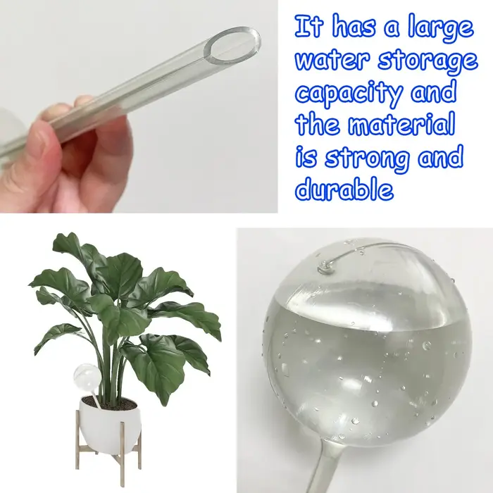1 paquet de globe d'arrosage transparent pour plantes