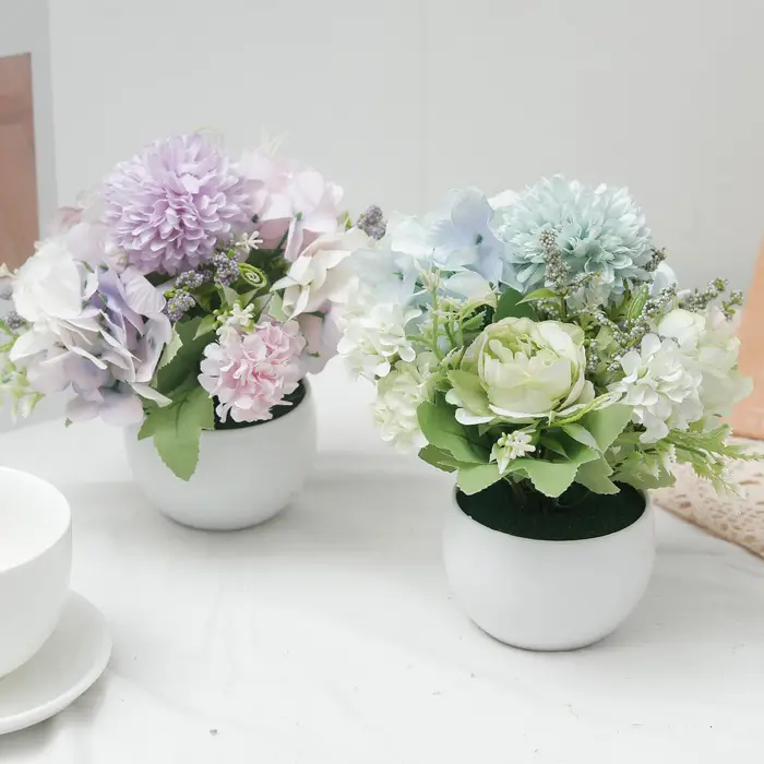 Plante d'hortensia en pot