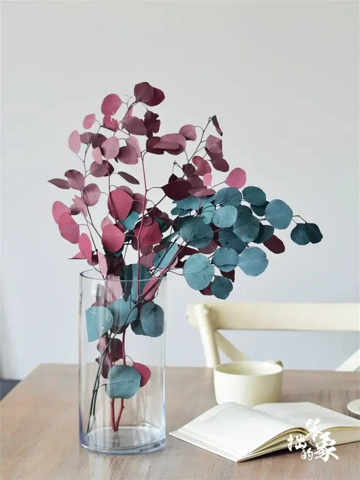 Feuilles d'eucalyptus naturelles