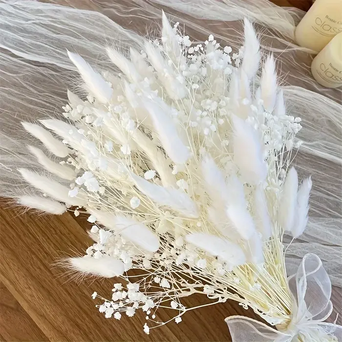 Bouquet de fleurs séchées blanches Gypsophila Boho Pampas