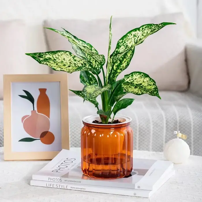 Nouveau Pot de plantes hydroponiques à arrosage automatique