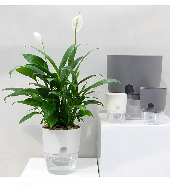 Pot de fleur en plastique Transparent Double couche