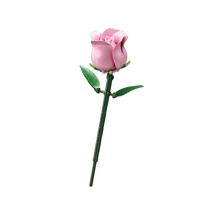 Blocs de construction de Bouquet de roses romantiques