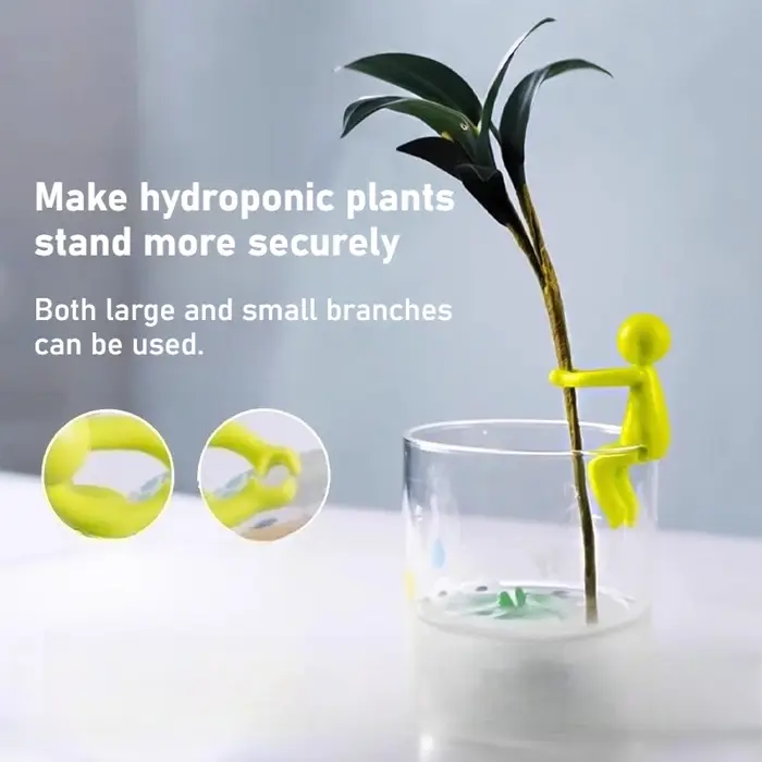 Cadre de Support pour plantes