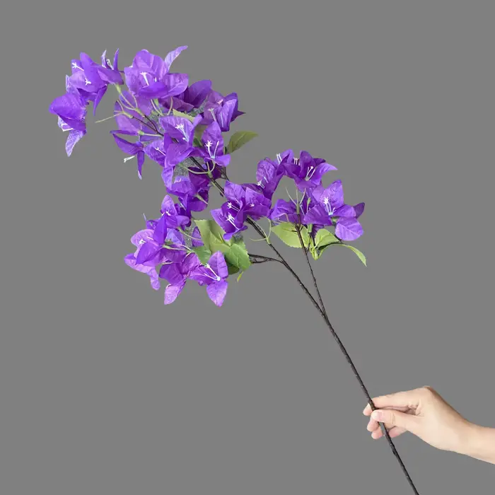 Simulation de Bouquet de bougainville