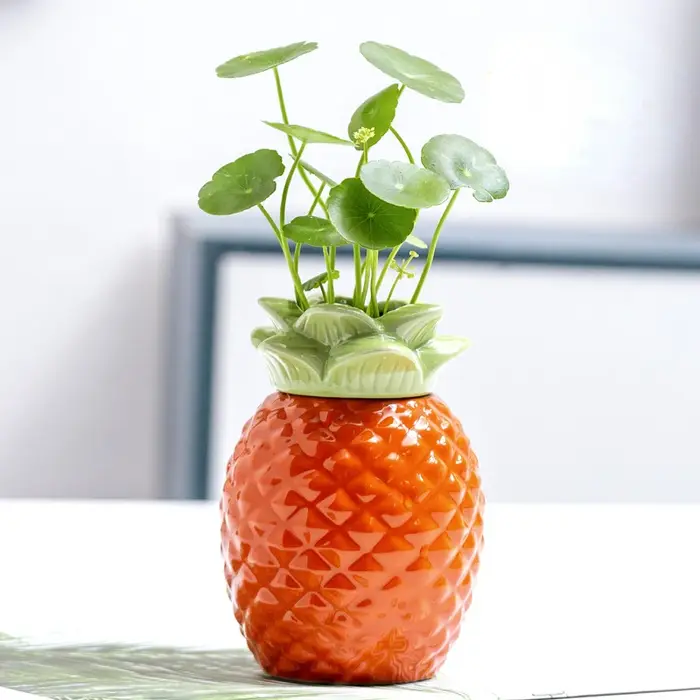 Vase en Céramique Coloré pour Décoration de Maison
