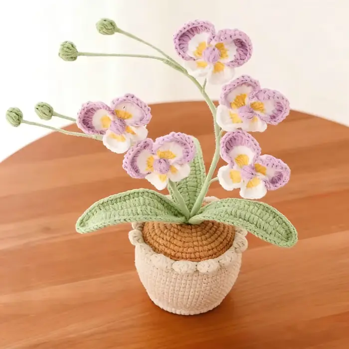 Nouvelle plante en pot de Phalaenopsis à 5 têtes