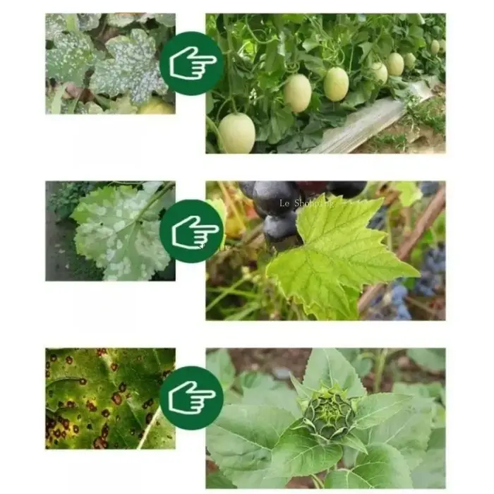 Engrais biologique pur Trichoderma Hartzia pour plantes vertes, fruits, légumes et fleurs – Favorise la croissance et prévient la pourriture des racines