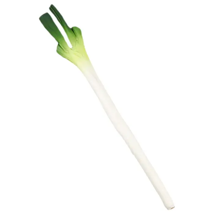 Simulation d'oignons artificiels, faux modèles, plante verte réaliste, scallion en PU, décoration de