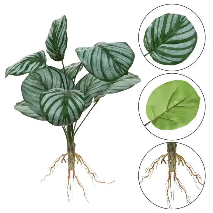 Verdure de simulation de plantes hydroponiques artificielles avec plante racine