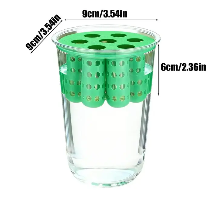 Pot de culture pour la reproduction des oignons verts