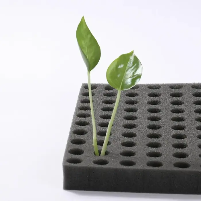 Éponge hydroponique pour plantes