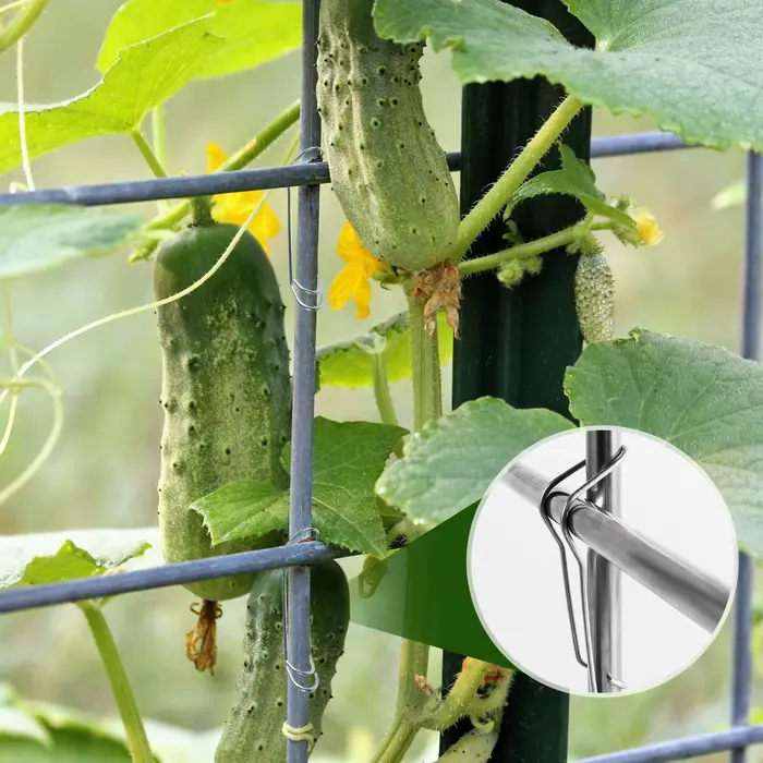 Boucles de connexion en treillis pour plantes, 50 pièces, Support de tuyau d'escalade, outil de fixa