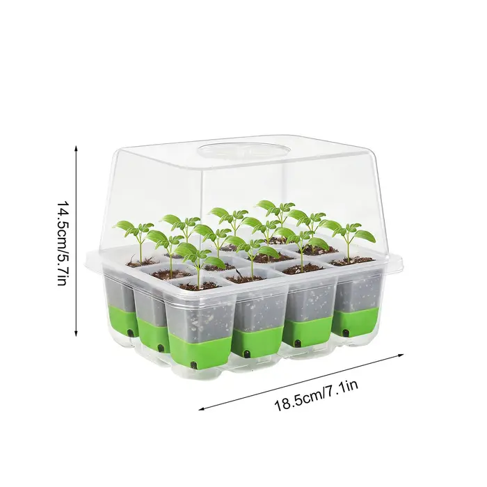 Mini pots pour plantes avec trous de drainage