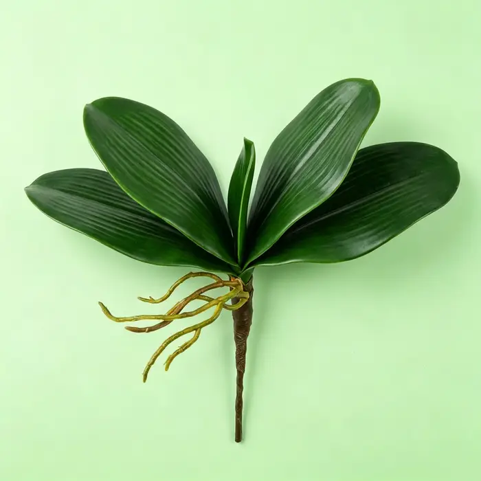 Feuilles d'orchidée artificielles, plante Phalaenopsis réaliste avec racines, fausse verdure pour la