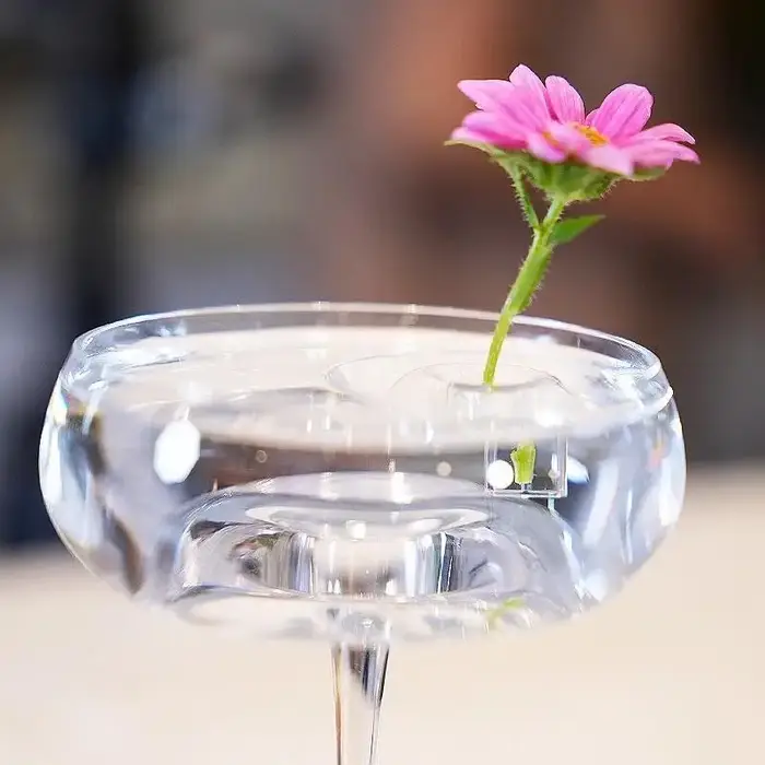 Vase à fleurs flottant en verre : présentoir hydroponique