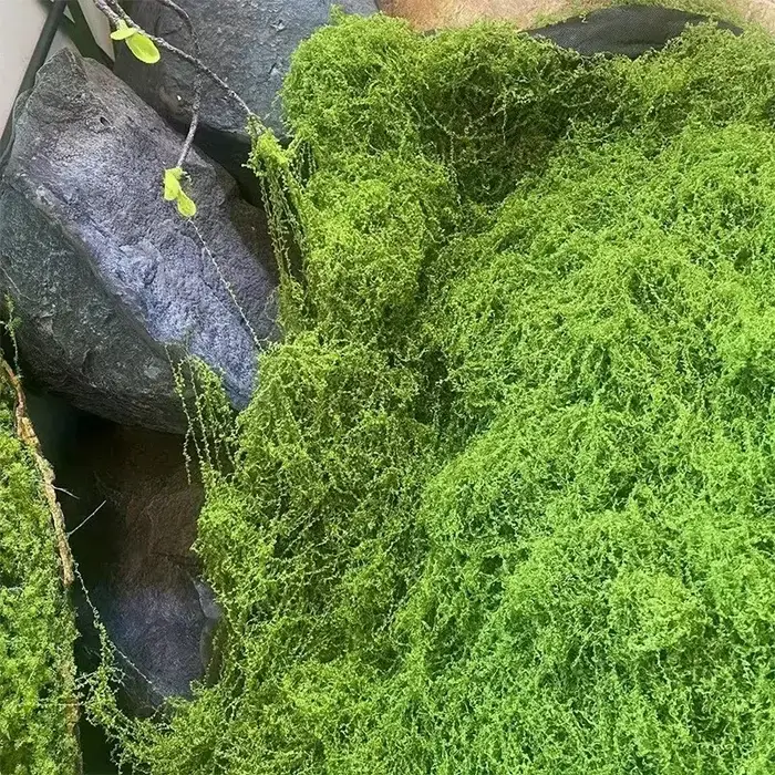 Faux mousse verte, artisanat de bricolage
