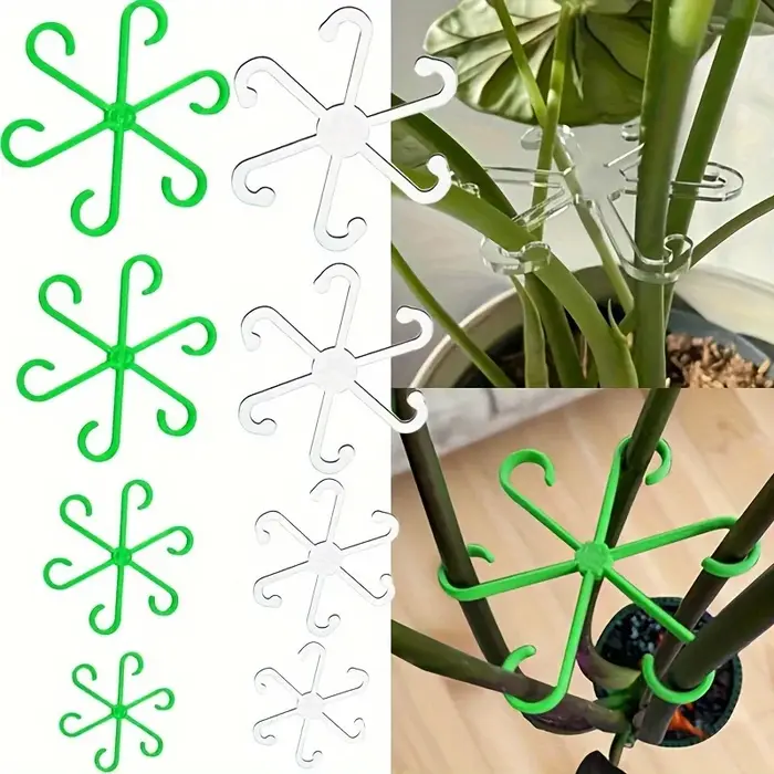 Clips de Support pour plantes grimpantes