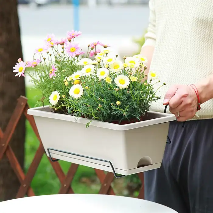 Pot de fleurs auto-absorbant pour culture de légumes d'intérieur avec trou de drainage et corde absorbante