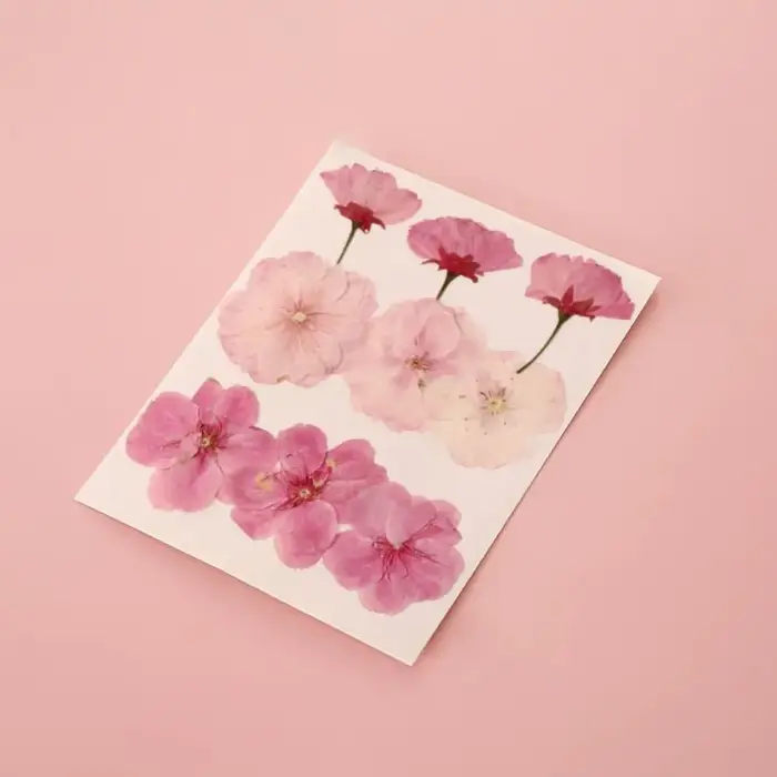 Bricolage matériaux bricolage fleurs séchées signets pressé fleur PET fleurs séchées autocollants à la main Transparent fleur Page signet enfants
