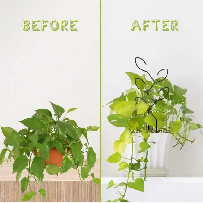 1 support créatif pour plantes en pot d'extérieur