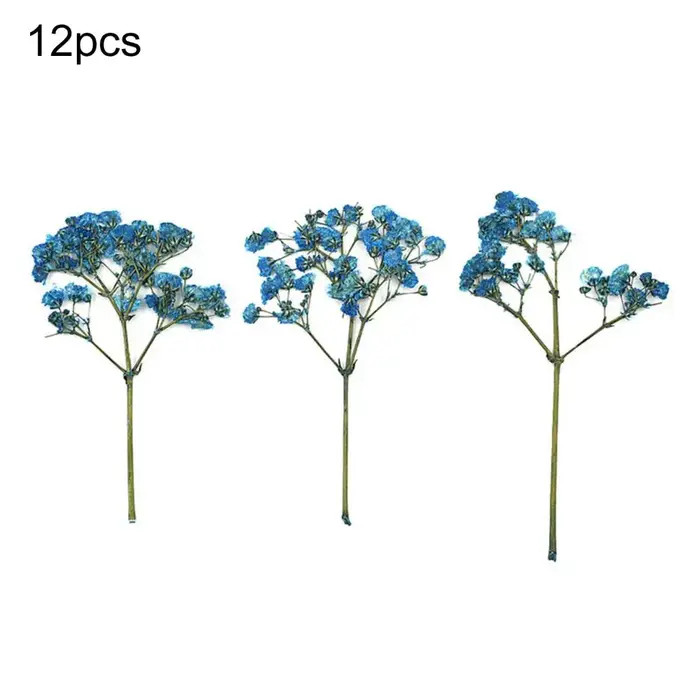 Bouquets de fleurs séchées naturelles, 12 pièces, fleurs de gypsophile séchées colorées et réalistes