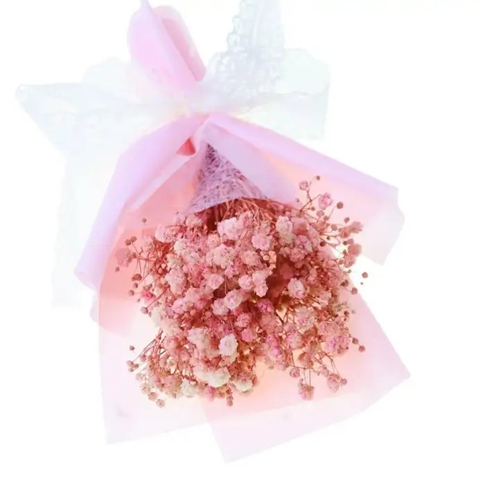 Fleurs séchées de gypsophile pour cadeaux